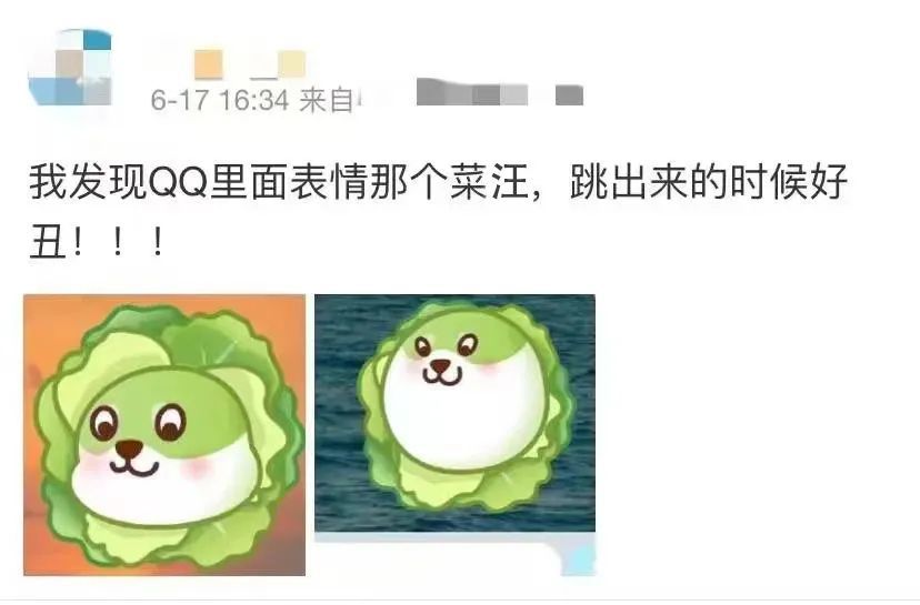 qq菜汪出个了等级表!网友:摄像头拆了!
