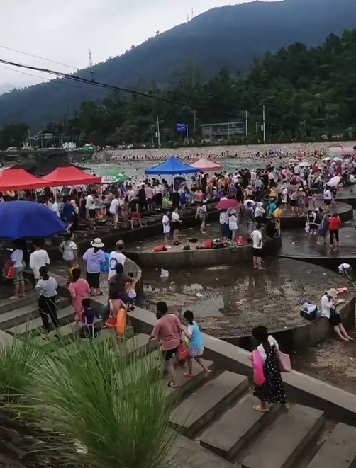 芙蓉黄金溪在哪里图片