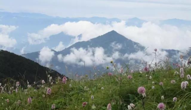 形峦堪舆论杨公九星之廉贞星峰剥换吉星结大地