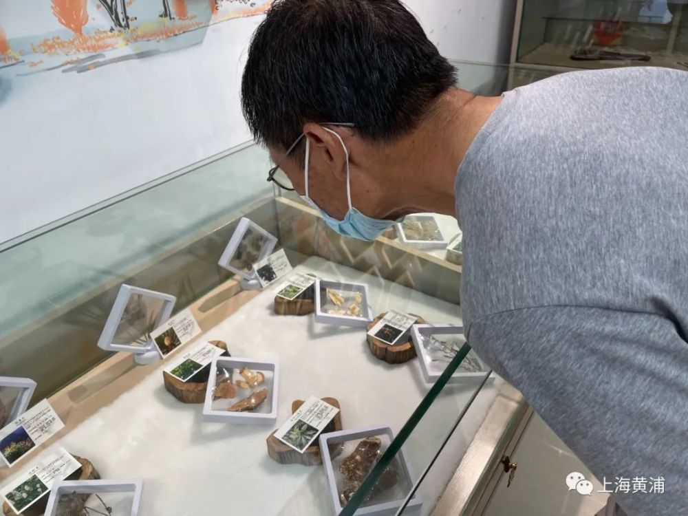 老店换新颜一天12吨草药吞吐量的群力草药店康养零售区全新亮相