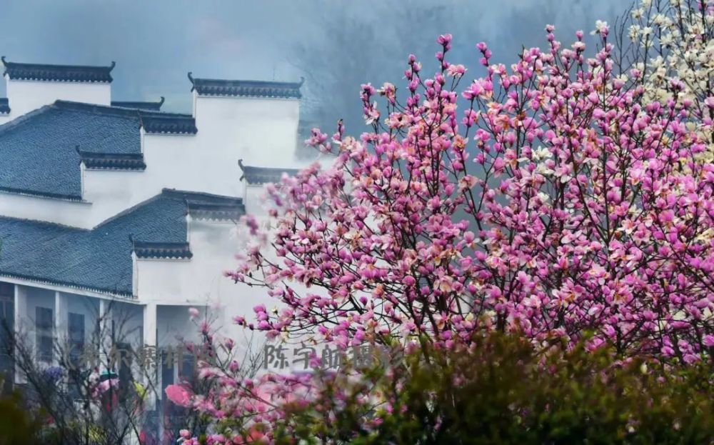 仙人湖英山神峰山莊2021年黃岡市十佳網紅景點今年以來,通過強化自