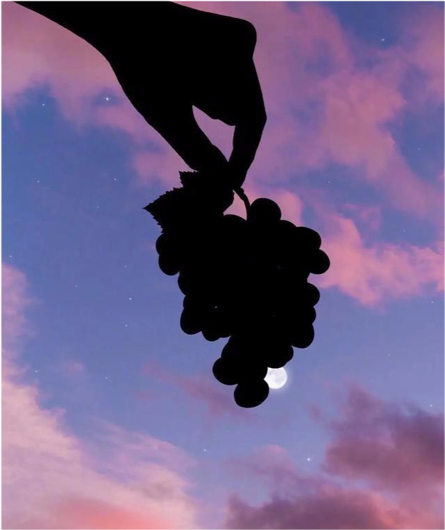 让人沉默的丧系句子句句入心说到心坎里