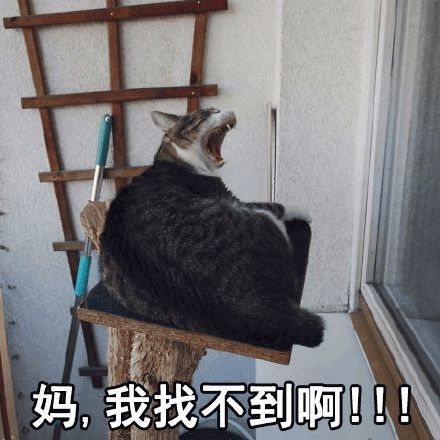 "妈妈妈妈妈妈……" "滚!