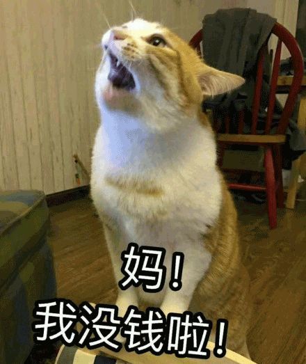 我去公司接你吧妈别担心,我挺好哒……但是这么窝心的孩子哪儿找呢?