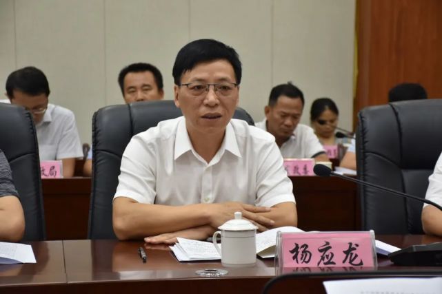 杨应龙在座谈会上作表态发言,他表示万宁将从四方面持续扎实推进党史