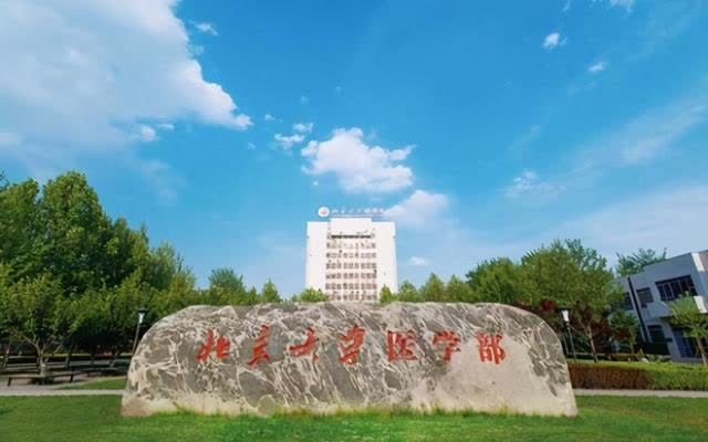 医学院版"四大天王"排名,榜首"岿然不动",二三四名大洗牌了