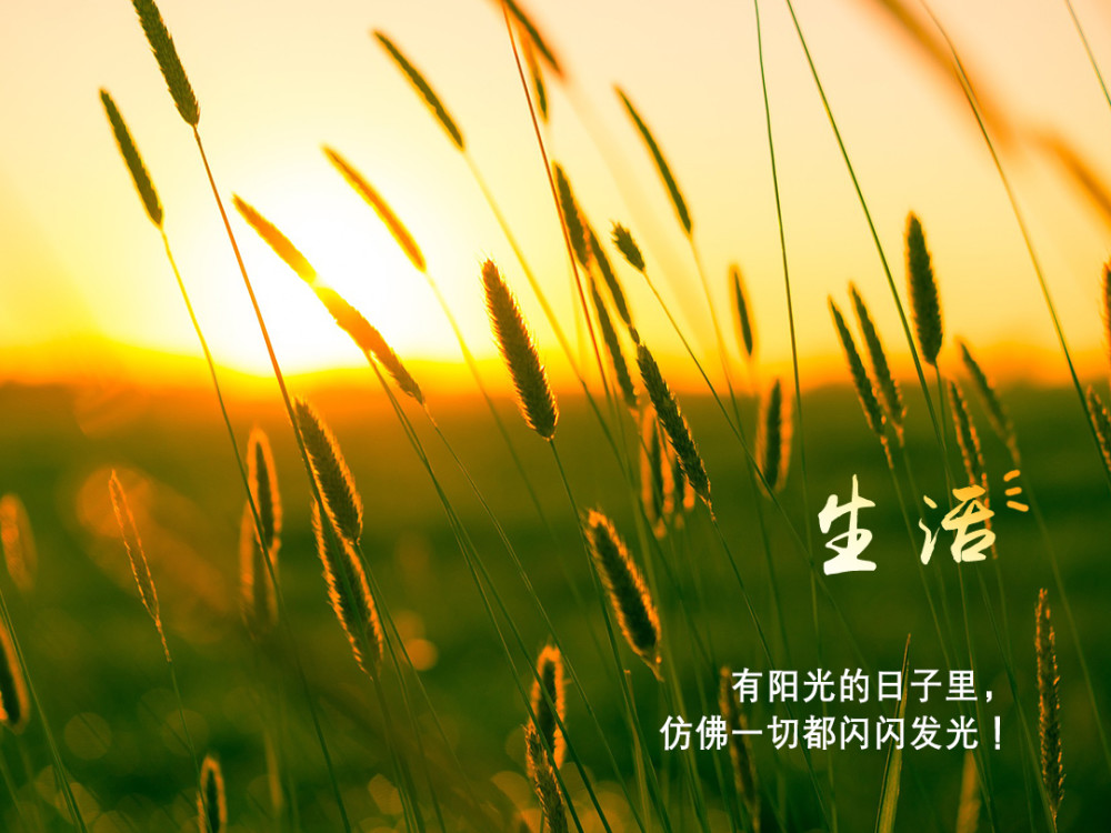 日子健康安稳就好!