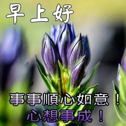 早上好朋友微信最美早上好圖片大全最漂亮早上好動態圖片帶字