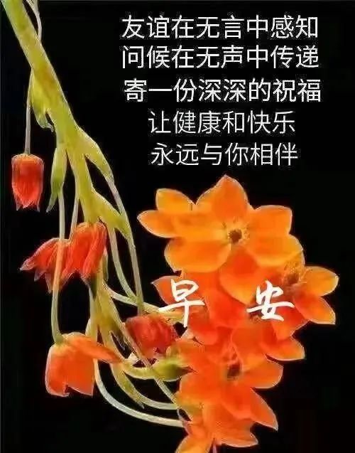 早上好朋友暖心的早安問候短信祝福語漂亮圖片問候祝福表情