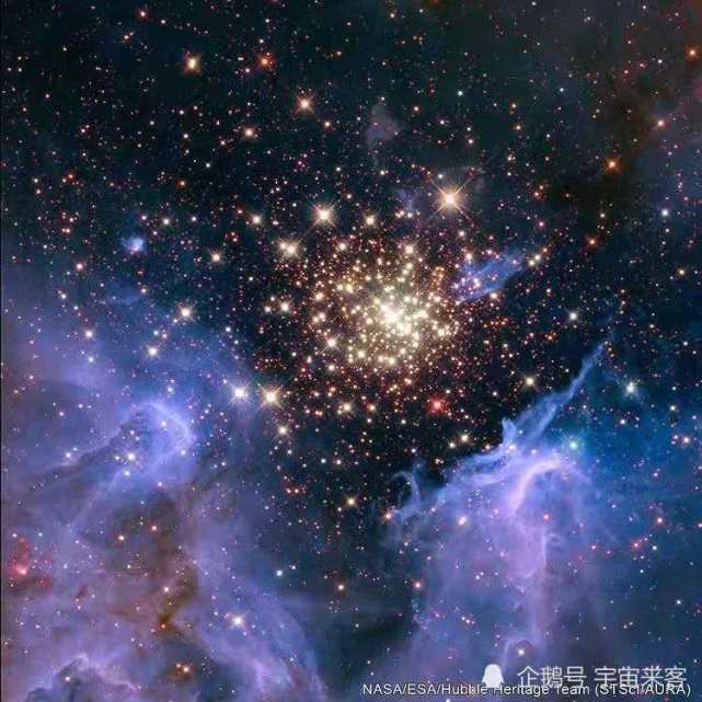 有证据表明:生命进化建立在废墟之上