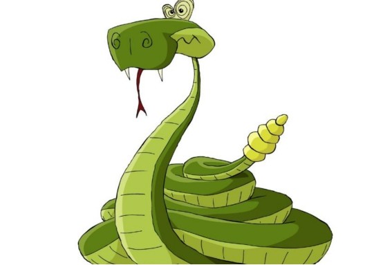 101条蛇闯入福州居民家,马桶还钻出大黑蛇,为什么会有那么多蛇