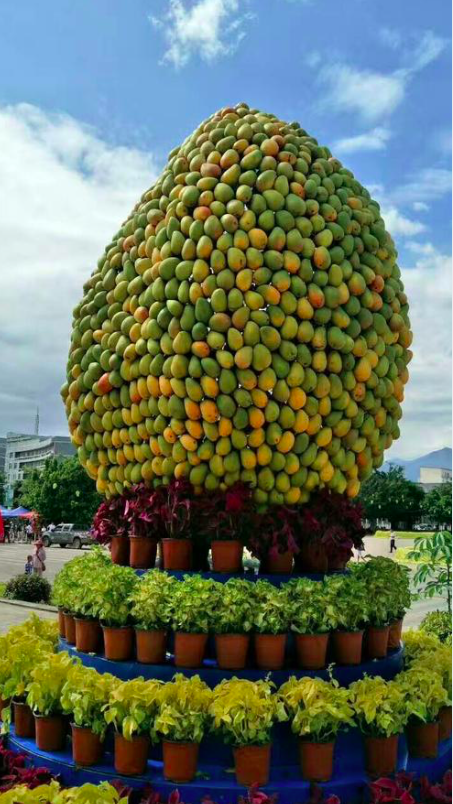 (元江芒果节)如今,元江芒果节早已跻身云南十大节日之一2020年6月12日