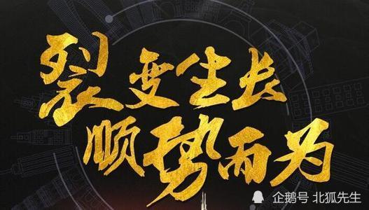 沈南鹏721合伙人商业模式解析