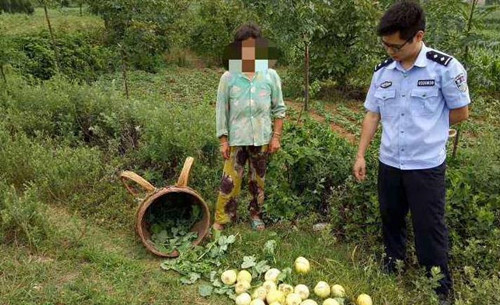 女子偷瓜被追赶意外落水身亡,家属找瓜农索赔13万,最后咋判的?