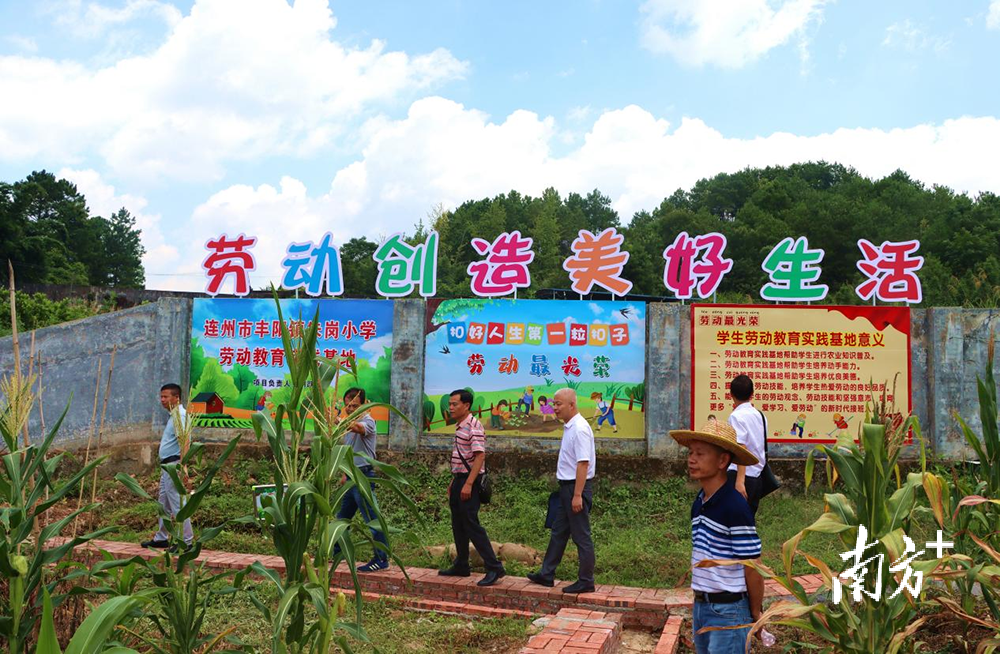 水果等农作物,创建劳动教育博物馆,传承农耕文化;同时,该校将基地实践