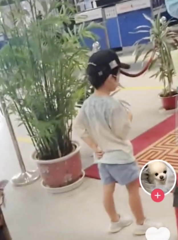 黄晓明带儿子回青岛老家小海绵现身机场和啤酒节帅气可爱