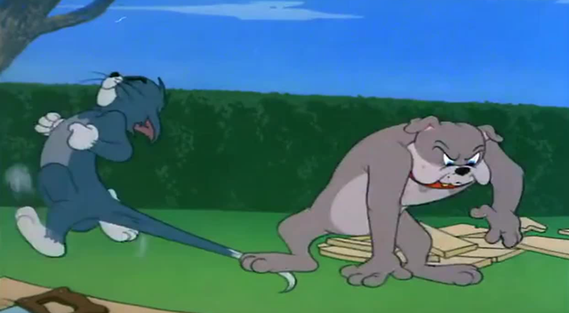 表情包界宠儿猫和老鼠81岁依旧能打它如何征服这届年轻人