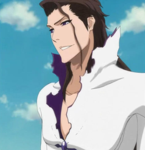 蓝染惣右介我没有骗人的意思,只是你们每一个人都不了解我的真