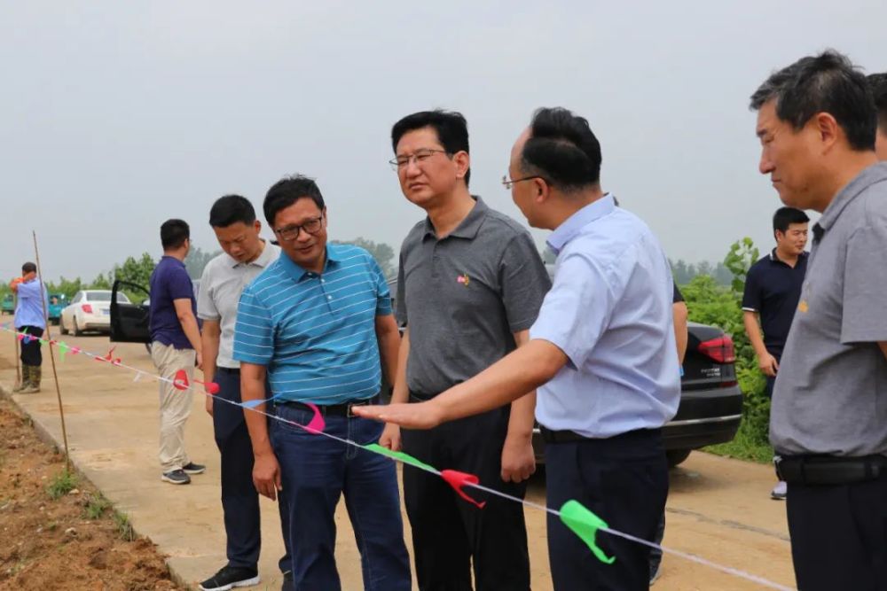 县长孙志标检查我县防汛工作