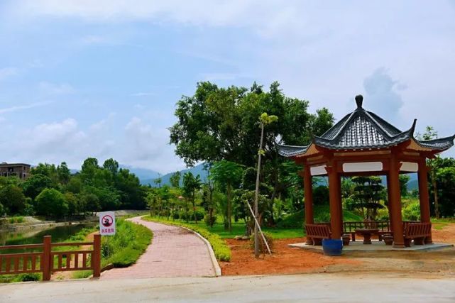 陆河这个村有个"网红"地刷屏了!