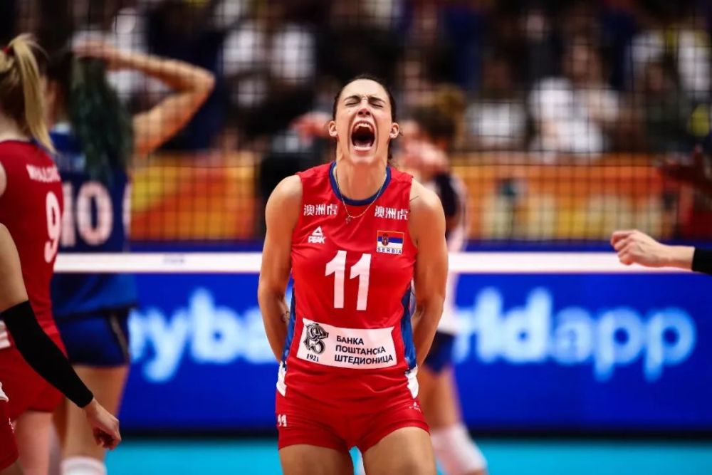 惜别女排又一批名将或就此宣告退役包含多位世界冠军