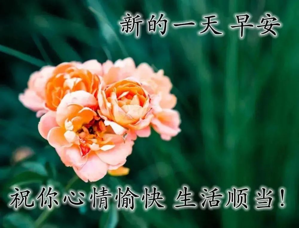 早上好朋友最好看的早安问候祝福图片精选早上好问候语图片带字温馨