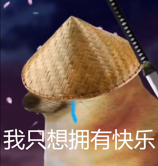 这个一直给doge当配角的狗子,正在成为下一代doge.