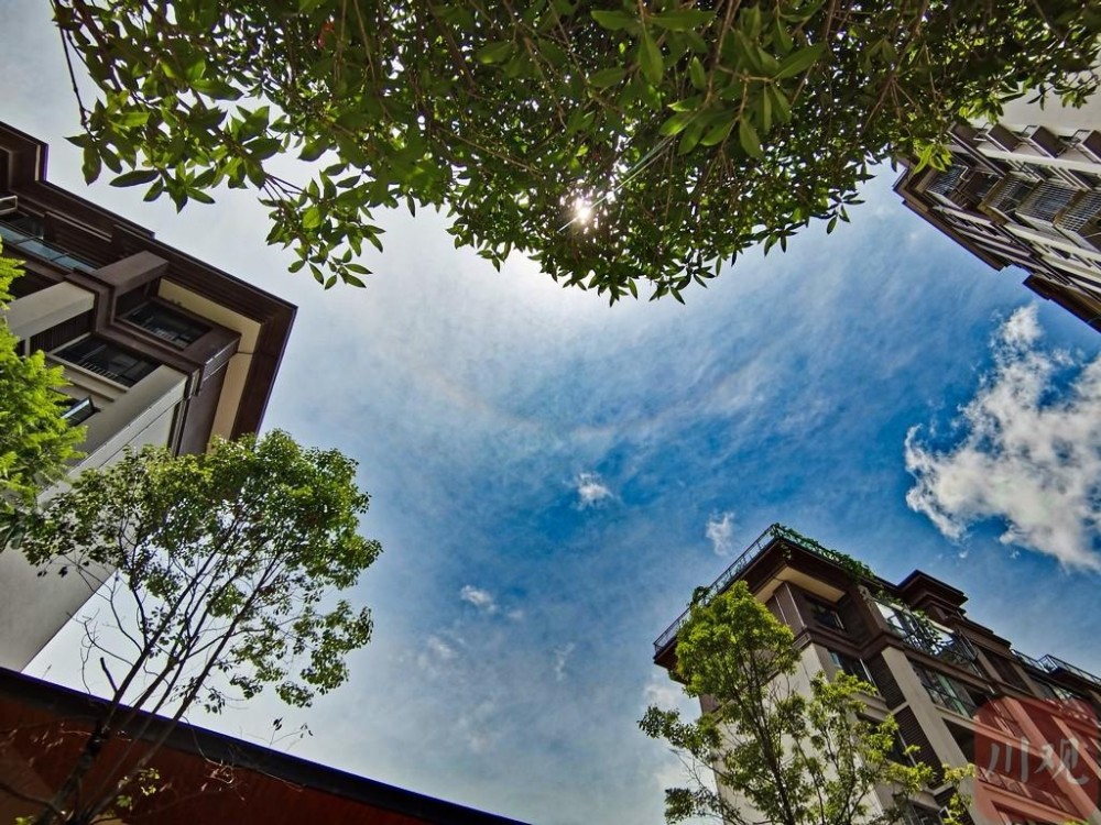 雨过天晴 乐山上空现日晕 腾讯新闻