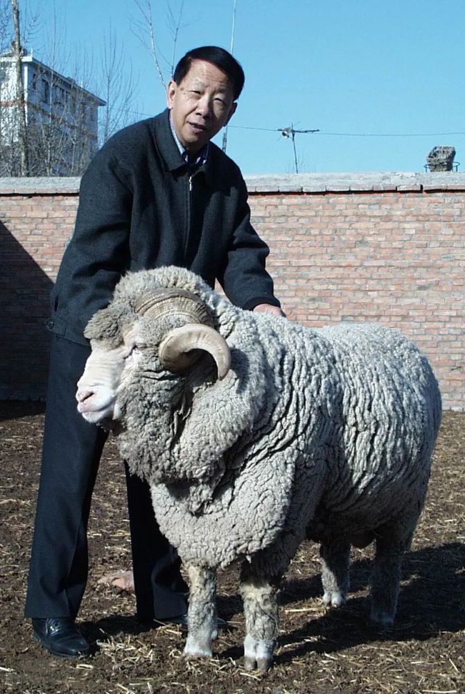 哈赛因,快乐的哈萨克族"天山通".