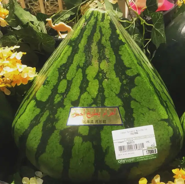日本金字塔西瓜(7088港元/个)via.