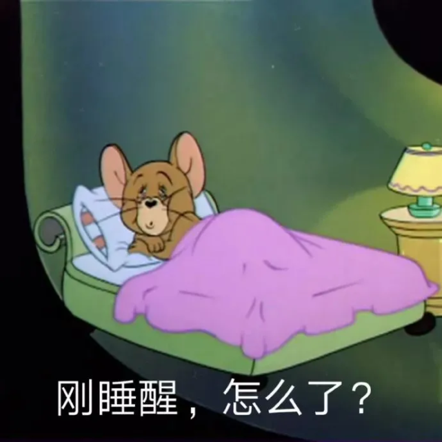 猫和老鼠搞笑表情包弱者才睡觉你是弱者吗