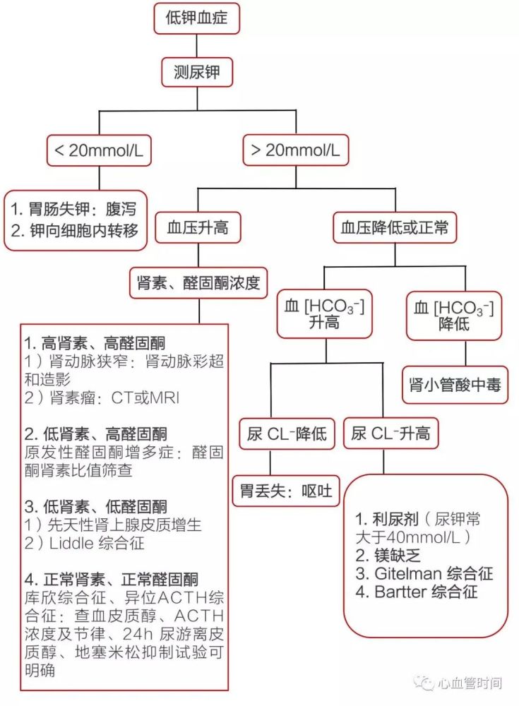 经过与临床科室不断沟通,我们认为患者低血钾症状反复发生,且验检查