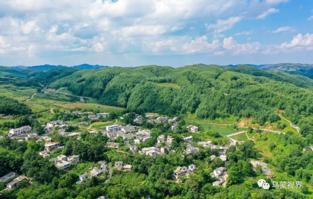 海雀村的生态传奇