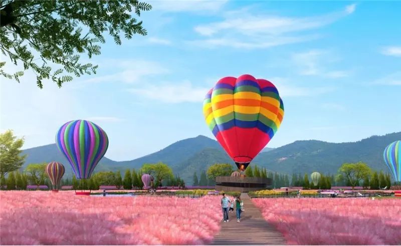 精选抚州的3处特色森林,给你带来不一样的玩法哦