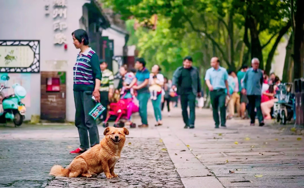 苏州各区GDP让人看不懂，郊区很高，核心区反而很低