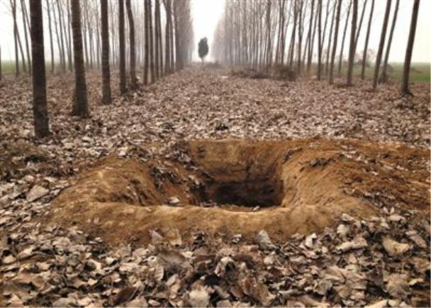 男子伙同他人作案,杀害8人并埋尸家中!_腾讯新闻