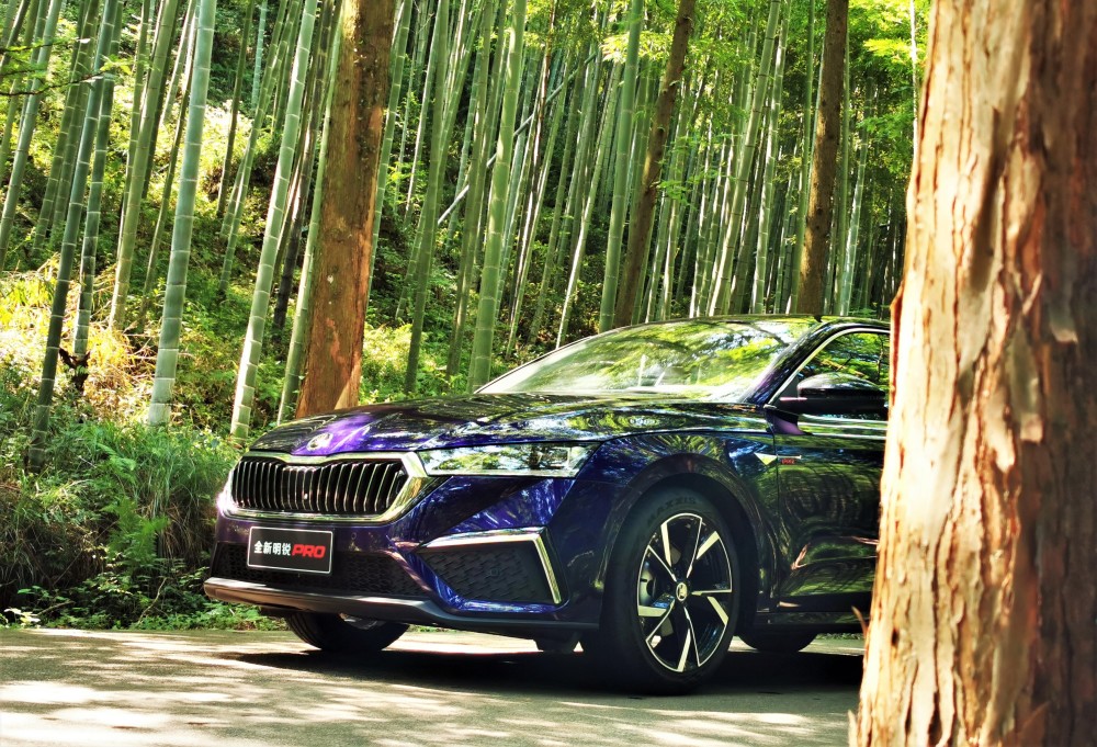 在莫干山试驾明锐PRO，精致好开空间大，它适合懂它的人