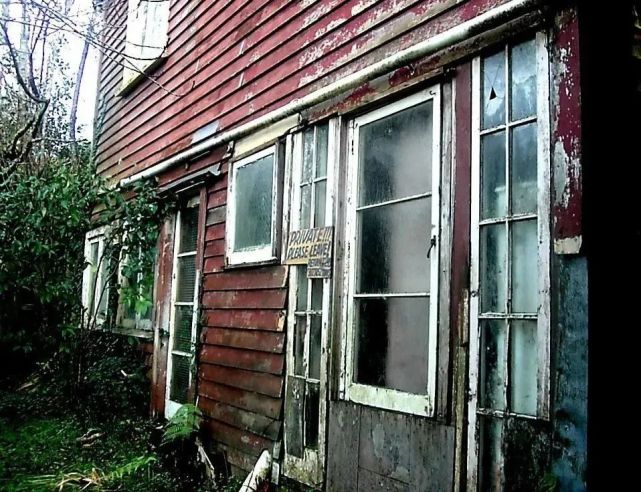 一边说纯洁得像个天真的孩子一边亮斧杀妻怎么评价诗人顾城