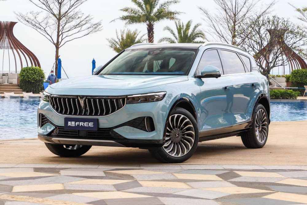 都把蔚来当作目标，谁能真正超越？岚图或许有机会