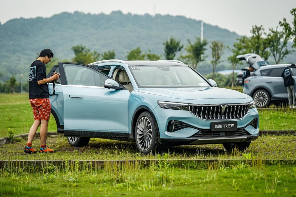 获蔚来老总肯定，消费者也给好评，岚图这波操作干了什么？