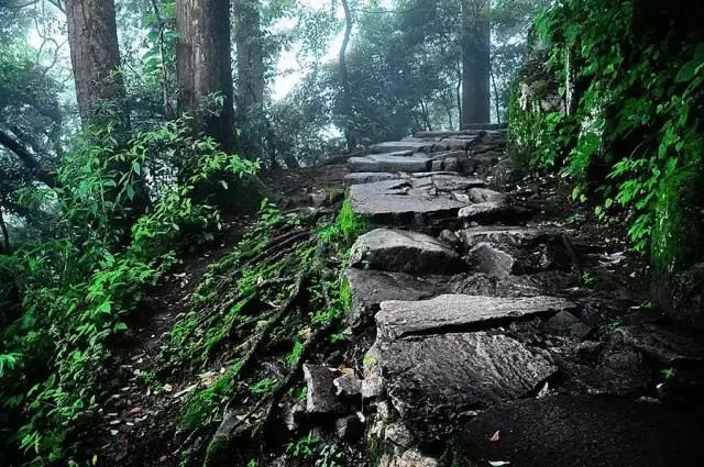 古木蔥蘢古名