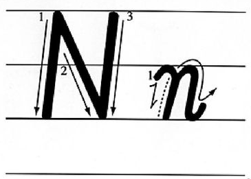 字母n每周的英语课堂开始了今天要学习的是nnnnn