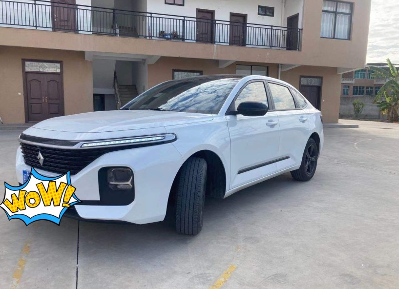 9万的智能家轿，支持远程开空调、与手机WIFI投屏，很适合年轻人