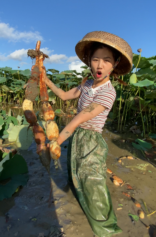 中秋送礼选南沙莲藕!现挖现发,清甜粉糯!送礼佳品!