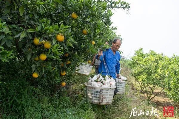 村人均gdp_没有穷人的国家:人均GDP是美国的近3倍,但面积却不如村子大