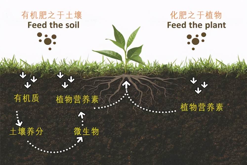 黑土白垩赤成黄金图片