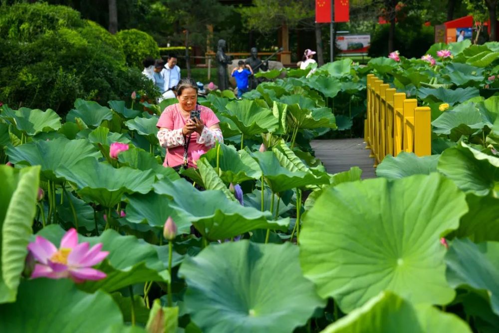 武清聚富荣
