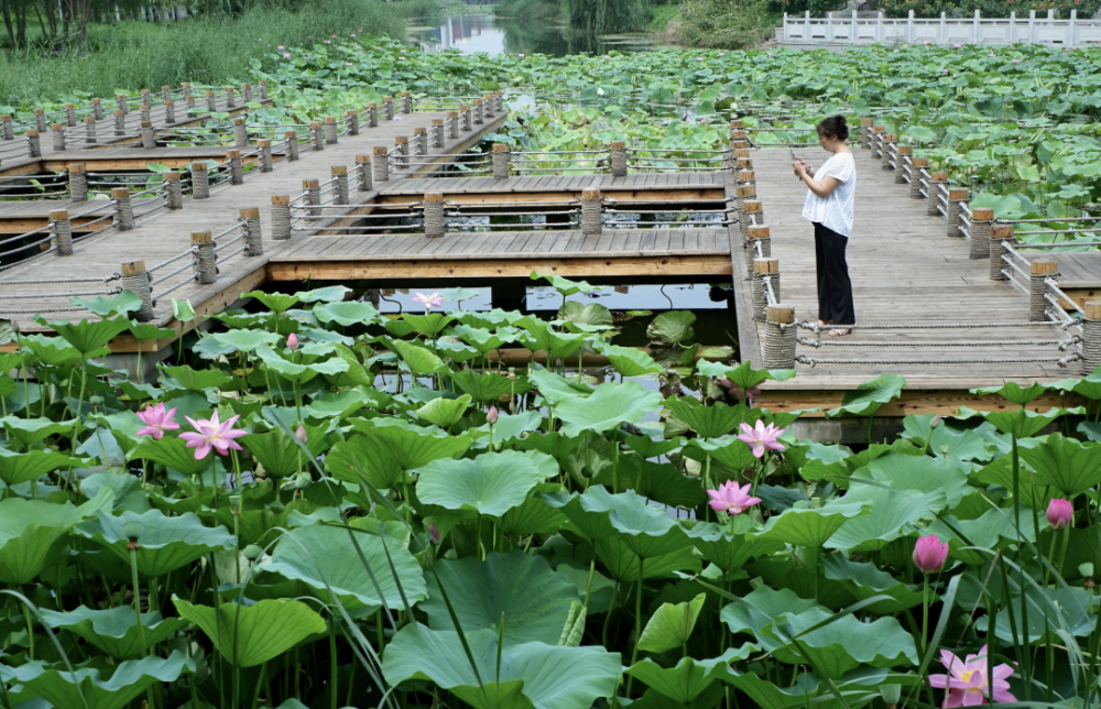 武清聚富荣