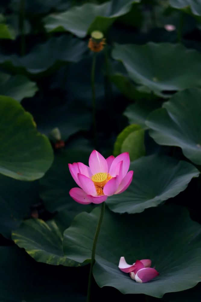 武清聚富荣