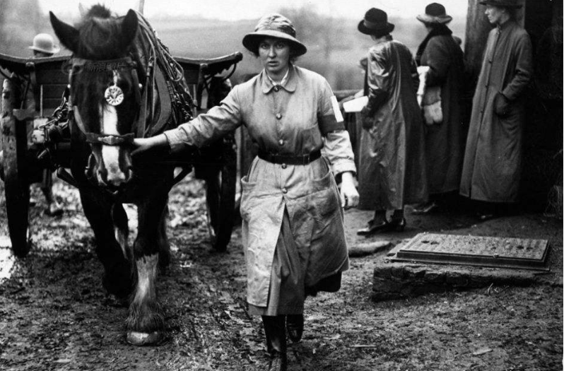 四轮马车为何没有在古代中国普及 问题不在没有技术发明 腾讯新闻